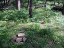 photo thumbnail #7