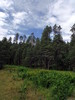 photo thumbnail #11