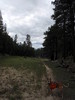 photo thumbnail #12