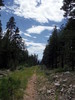 photo thumbnail #15