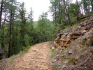 photo thumbnail #3
