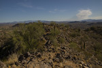 photo thumbnail #14