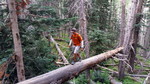 photo thumbnail #6