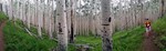 photo thumbnail #14