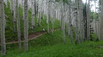 photo thumbnail #15