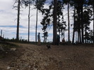 photo thumbnail #12