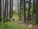photo thumbnail #15