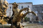 photo thumbnail #7