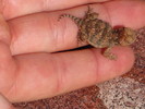 photo thumbnail #10