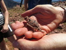 photo thumbnail #11