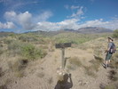 photo thumbnail #5