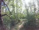 photo thumbnail #7