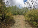 photo thumbnail #11