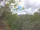 photo thumbnail #15