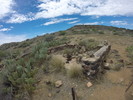 photo thumbnail #6