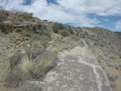 photo thumbnail #12