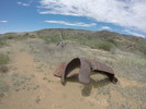photo thumbnail #13