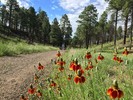 photo thumbnail #5