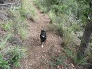 photo thumbnail #2