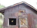 photo thumbnail #4