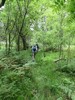 photo thumbnail #11
