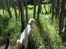photo thumbnail #6