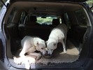 photo thumbnail #7