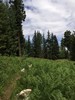 photo thumbnail #6