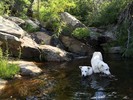 photo thumbnail #1