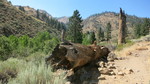 photo thumbnail #3