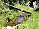 photo thumbnail #1