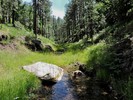 photo thumbnail #5