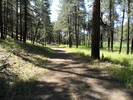 photo thumbnail #4