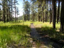 photo thumbnail #5