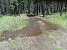 photo thumbnail #8