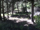 photo thumbnail #13