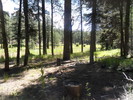 photo thumbnail #14