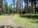 photo thumbnail #15