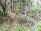 photo thumbnail #1