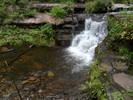 photo thumbnail #8