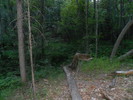 photo thumbnail #13