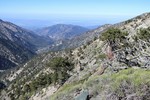 photo thumbnail #6