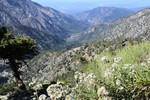 photo thumbnail #15