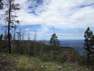 photo thumbnail #7