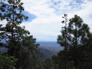 photo thumbnail #8