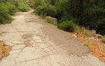 photo thumbnail #12