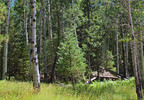 photo thumbnail #3