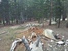 photo thumbnail #7