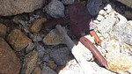 photo thumbnail #15