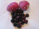 photo thumbnail #6